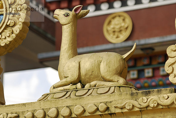 Goldenes Reh  Skulptur am Tempel  Kathesimbhu Stupa  Kathmandu  Nepal  Asien