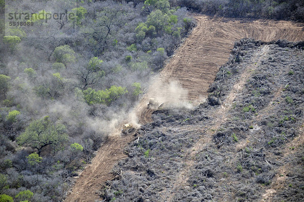 Luftaufnahme  mit Bulldozern wird der ursprüngliche Wald des Gan Chaco gebrochen  die Biomasse wird auf die gerodeten Flächen verteilt und anschließend verbrannt  Salta  Argentinien  Südamerika