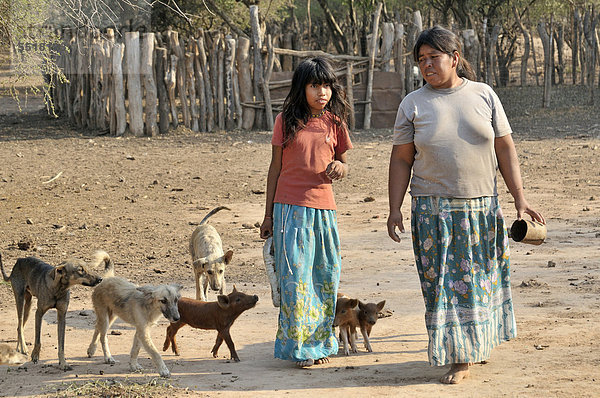 Mädchen und Frau vom indigenen Volk der Wichi  gefolgt von Hunden und Ferkeln  in ihrem Dorf  Zapota  Gran Chaco  Salta  Argentinien  Südamerika