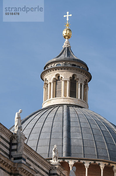 Kuppel  Dom von Siena  auch Duomo Santa Maria Assunta  Siena  Toskana  Italien  Europa