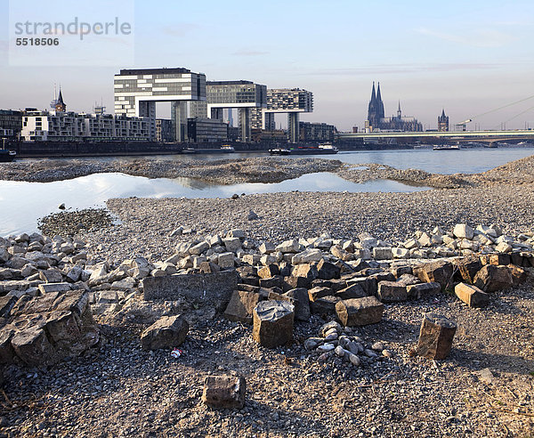 Blick auf den Rhein bei Niedrigwasser  Fotomontage  Köln  Nordrhein-Westfalen  Deutschland  Europa  ÖffentlicherGrund
