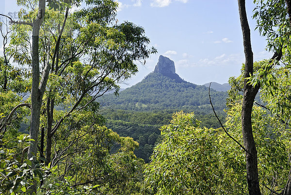 Mount Coonowrin  Glasshouse Mountains  Brisbane  Queensland  Australien