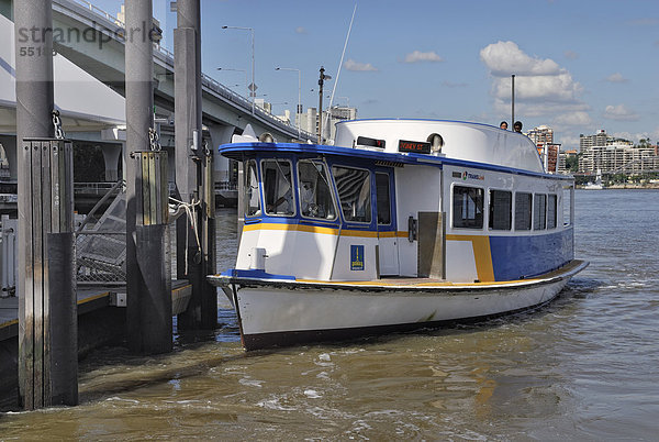 Trans Link Fährboot  Brisbane River  Brisbane  Queensland  Australien