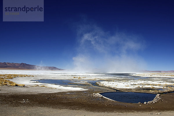Becken mit heißen Quellen  Aguas termales an der Laguna Salada  Alti Plano  Potosi  südliches Bolivien  Südamerika