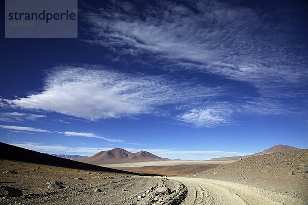 Piste im Nationalpark Andina Eduardo Abaro  Alti Plano  Potosi  südliches Bolivien  Südamerika