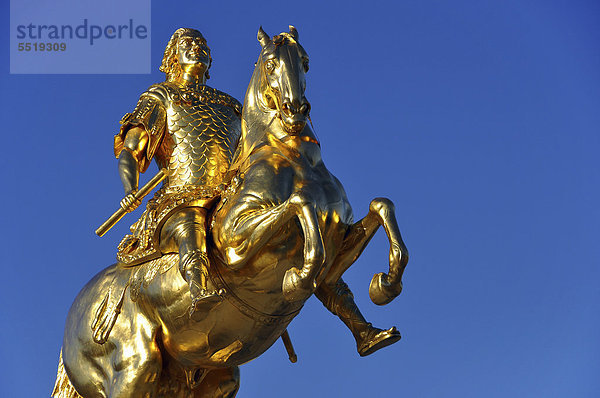 Der Goldene Reiter  Denkmal August des Starken in Dresden  Sachsen  Deutschland  Europa