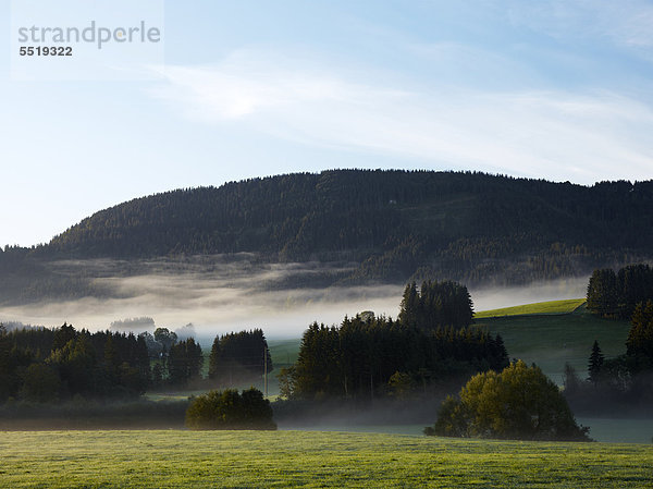 Morgennebel über dem Allgäu  nahe Weitnau  Bayern  Deutschland  Europa