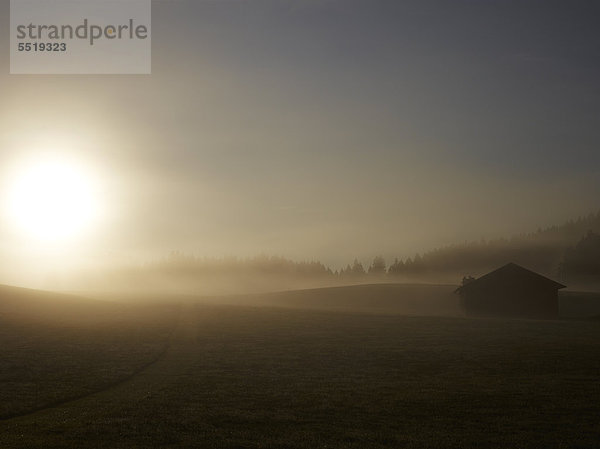 Morgennebel über dem Allgäu  nahe Buchenberg  Bayern  Deutschland  Europa