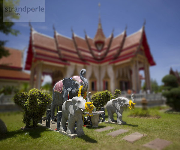 Heilige Elefanten-Statue vor Wat Chalong  größter Tempel auf Phuket  Kathu  Ban Chalong  Phuket  Thailand  Asien