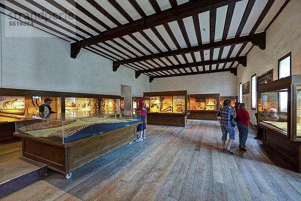 Museum des Rekonstruierten Römerkastells Saalburg  Limes  UNESCO Weltkulturerbe  Taunus  Hessen  Deutschland  Europa