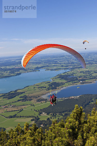 Tandem-Gleitschirmflieger  Paraglider  hinten der Froggensee  Tegelberg  Oberbayern  Bayern  Deutschland  Europa  ÖffentlicherGrund
