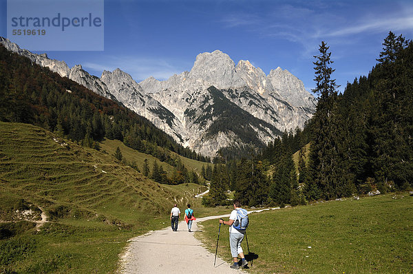 Blick von der Bindalm auf die Mühlsturzhörner  Hintersee bei Ramsau  Oberbayern  Bayern  Deutschland  Europa