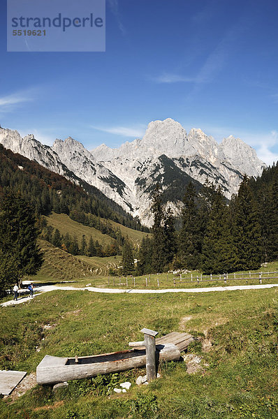 Blick auf die Mühlsturzhörner vorne Brunnen der Bindalm  Hintersee bei Ramsau  Oberbayern  Bayern  Deutschland  Europa