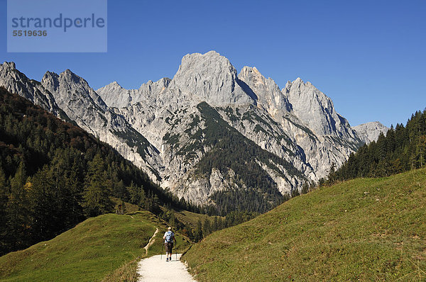 Blick von der Bindalm auf die Mühlsturzhörner  Hintersee bei Ramsau  Oberbayern  Bayern  Deutschland  Europa