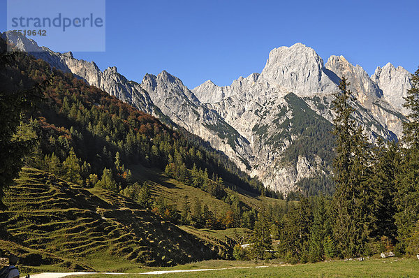 Blick von der Bindalm auf die Mühlsturzhörner  Hintersee bei Ramsau  Oberbayern  Bayern  Deutschland  Europa