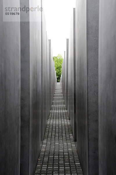 Holocaust Mahnmal des Architekten Peter Eisenman  ein Denkmal für die ermordeten Juden Europas  Berlin Mitte  Deutschland  Europa