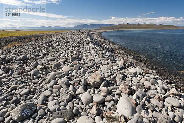 Strand mit großen Steinen  nahe der Insel Drangey  HofsÛs  Skagafjör_ur  Skagafjördur  Nordisland  Island  Europa