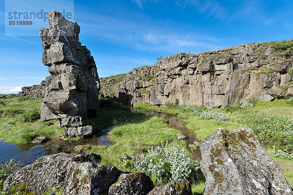 Grabenbruchzone oder Riftzone  Thingvellir  _ingvellir Nationalpark  Island  Europa