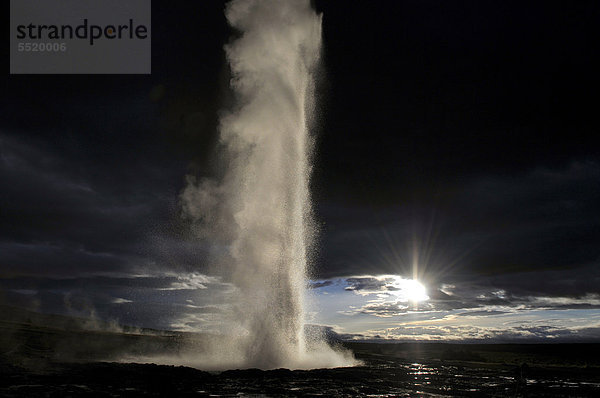 Geysir Strokkur  Haukadalur  Geysir  Island  Europa