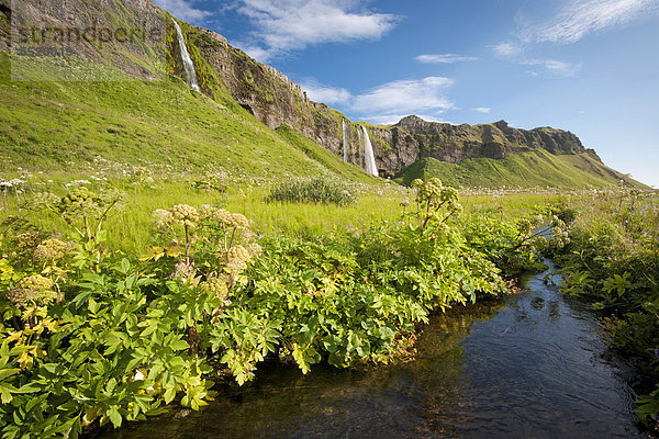 Seljalandsfoss  Wasserfall  Südisland  Island  Europa