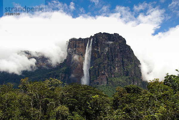 Salto Angel  der höchste Wasserfall der Welt  Canaima Nationalpark  Venezuela  Südamerika