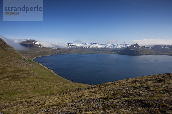 Hornvik  Blick vom Hornbjarg  Westfjorde  Island  Europa