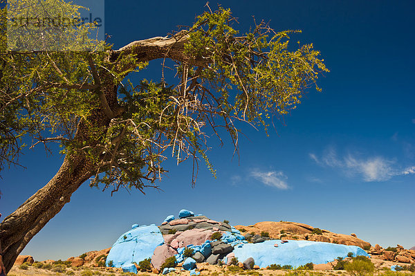 Painted Rocks  Felsbemalung des belgischen Malers Jean Verame und Arganienbaum (Argania spinosa) bei Tafraoute  Antiatlas  Südmarokko  Marokko  Afrika