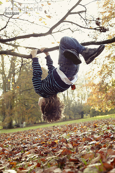 Junge spielt auf einem Baum im Freien