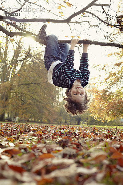 Junge spielt auf einem Baum im Freien