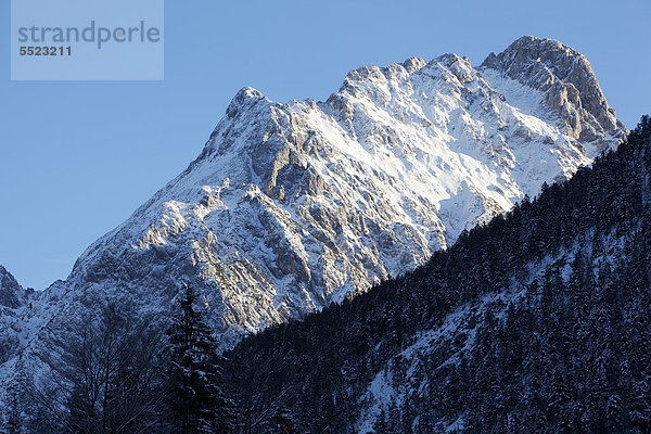 Risser Falk im Winter  Tirol  Österreich  Europa