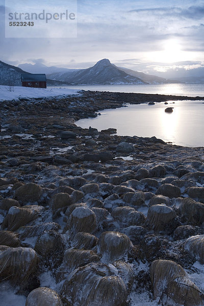 Balsfjord  Troms¯  Tromsö  Norwegen  Europa