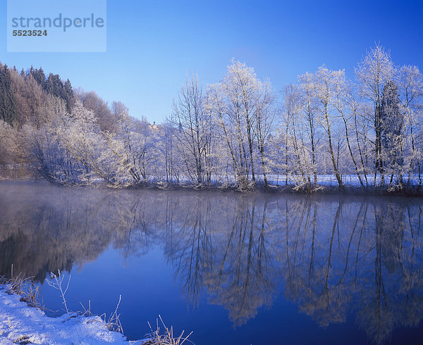 Verschneite Bäume mit Spiegelung in der Loisach bei Eurasburg  hinten Schloss Eurasburg  Oberbayern  Bayern  Deutschland  Europa