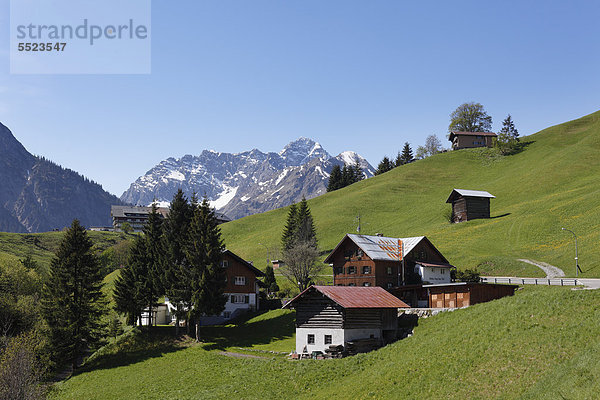 View from Hirschegg on Mt. Grosser Widderstein  Kleinwalsertal valley  Vorarlberg  Austria  Europe