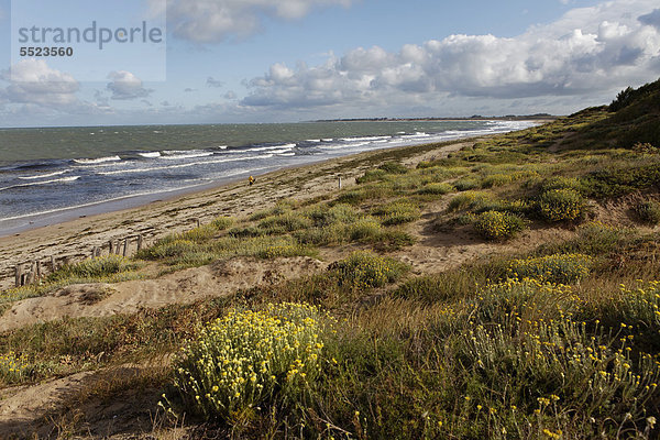 Küstenlandschaft  Œle d'OlÈron  Charentes Maritimes  Frankreich  Europa