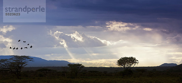 Blick über den Samburu Nationalpark in der Dämmerung  Samburu National Reserve  Kenia  Ostafrika  Afrika  ÖffentlicherGrund