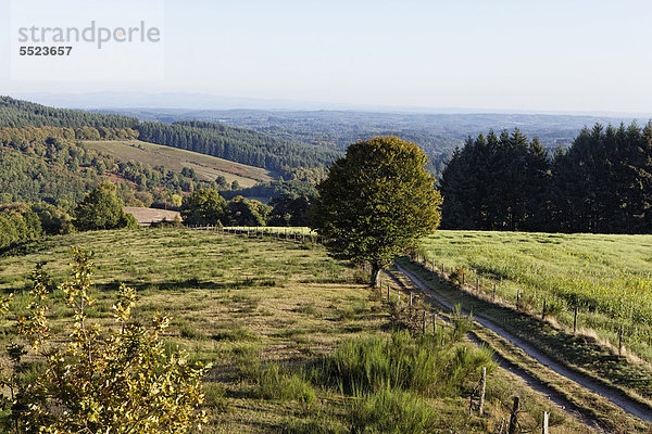 Landschaft im Parc Naturel Regional de Millevaches en Limousin  Regionaler Naturpark Millevaches en Limousin  DÈpartement Correze  Frankreich  Europa