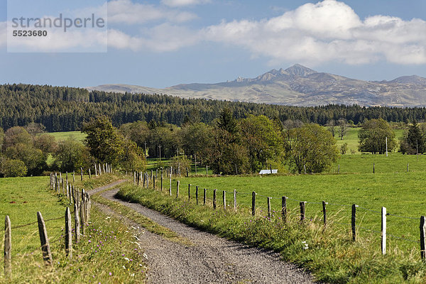 Feldweg  Parc Naturel Regional des Volcans d'Auvergne  Regionaler Naturpark Volcans díAuvergne  Puy de Dome  Frankreich  Europa