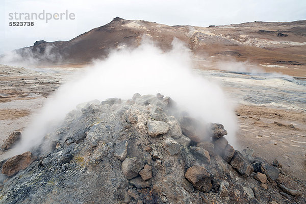 Solfatare  Dampfquelle im Heißquellengebiet von Hverarönd  Namafjall  Island  Europa