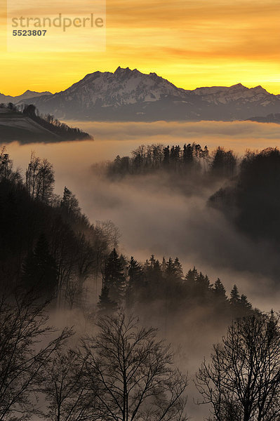Nebelstimmung im Licht der untergehenden Sonne mit Blick auf den Pilatus  Zug  Schweiz  Europa