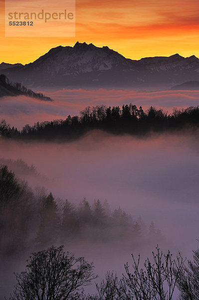 Nebelstimmung im Licht der Dämmerung mit Blick auf den Pilatus  Zug  Schweiz  Europa