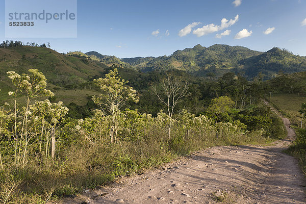 Unbefestigte Straße durch das nordöstliche Bergland mit tropischer Vegetation  Nicaragua  Zentralamerika