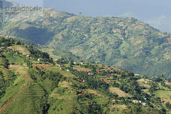 Reisterrassen  Hügellandschaft  Hochland nahe Nagarkot  Bhaktapur  Kathmandu Tal  Nepal  Asien