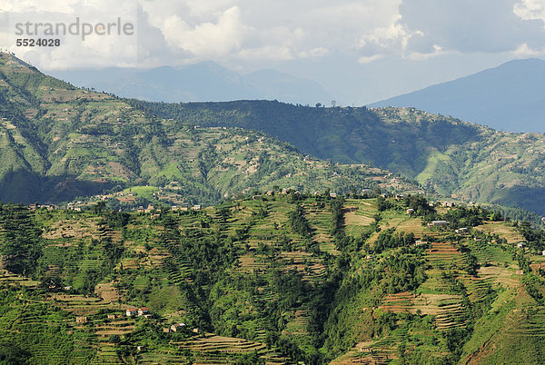 Reisterrassen  Hügellandschaft  Hochland nahe Nagarkot  Bhaktapur  Kathmandu Tal  Nepal  Asien