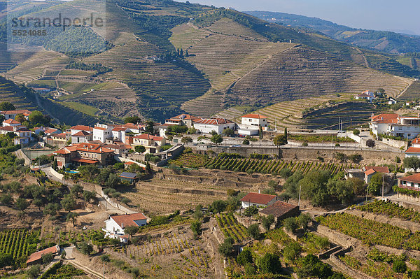Portwein-Weinberge  Alto Douro  UNESCO Weltkulturerbe  Tras-os-Montes  Portugal  Europa