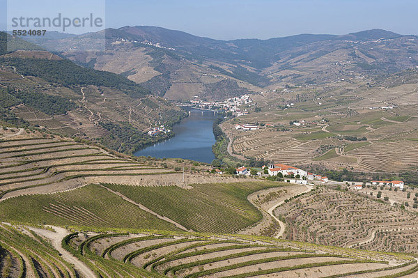 Rio Douro  Duero  mit Portwein-Weinbergen  Alto Douro  UNESCO Weltkulturerbe  Tras-os-Montes  Portugal  Europa