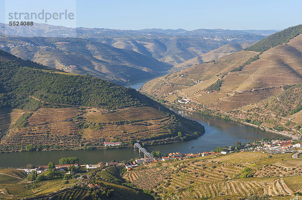 Rio Douro  Duero  mit Portwein-Weinbergen  Alto Douro  UNESCO Weltkulturerbe  Tras-os-Montes  Portugal  Europa