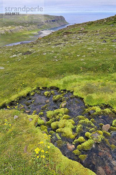 Bar_svÌk oder Bardsvik  Ostküste von Hornstrandir  Westfjorde  Island  Europa