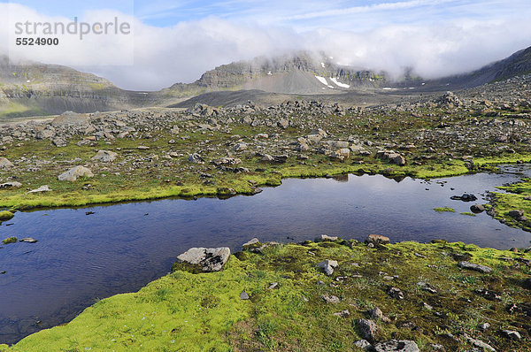 Landschaft mit grünem Quellmoos (Fontinalis antipyretica)  HÊlavÌkurbjarg oder Haelavikurbjarg  Hornstrandir  Westfjorde  Island  Europa