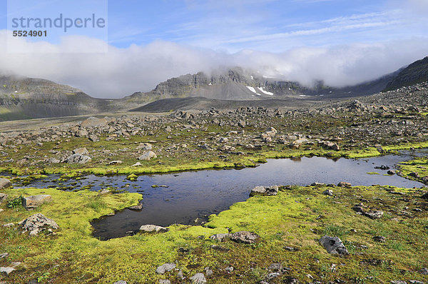 Landschaft mit grünem Quellmoos (Fontinalis antipyretica)  HÊlavÌkurbjarg oder Haelavikurbjarg  Hornstrandir  Westfjorde  Island  Europa