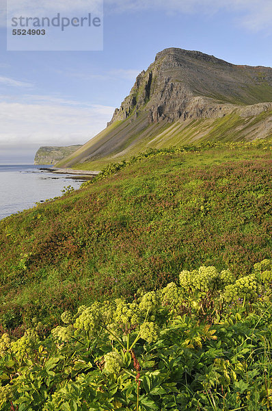 Bucht  HÊlavÌkurbjarg oder Haelavikurbjarg  Bucht HÊlavÌk oder Haelavik  Hornstrandir  Westfjorde  Island  Europa